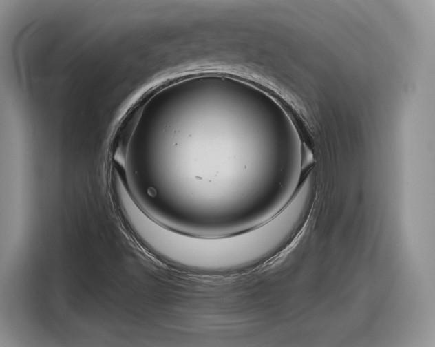 X0000116281502200912071140