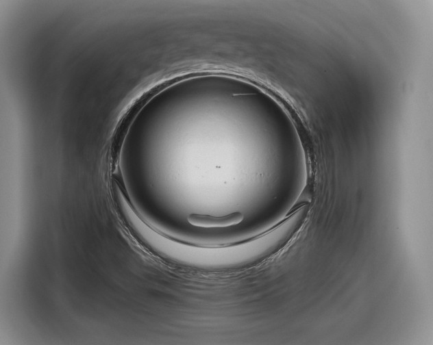 X0000116281503200912071140