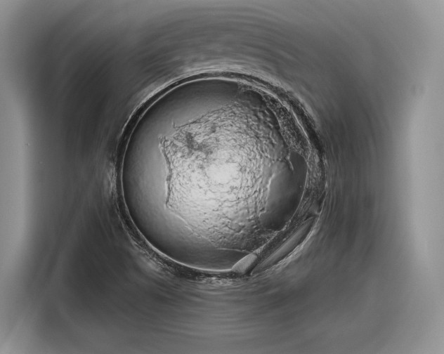 X0000116281505200912071140