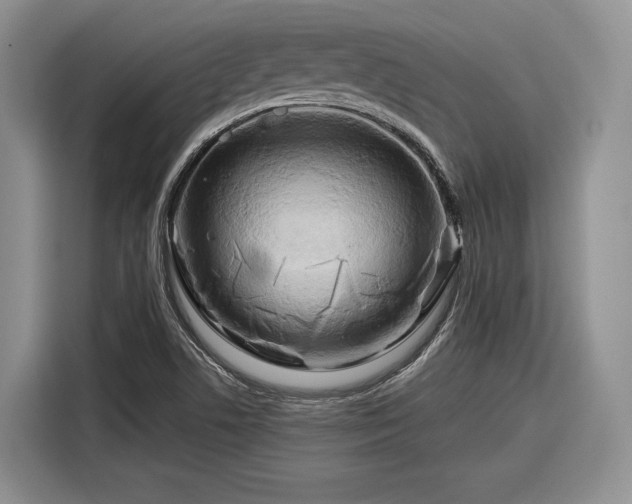 X0000116281506200912071140