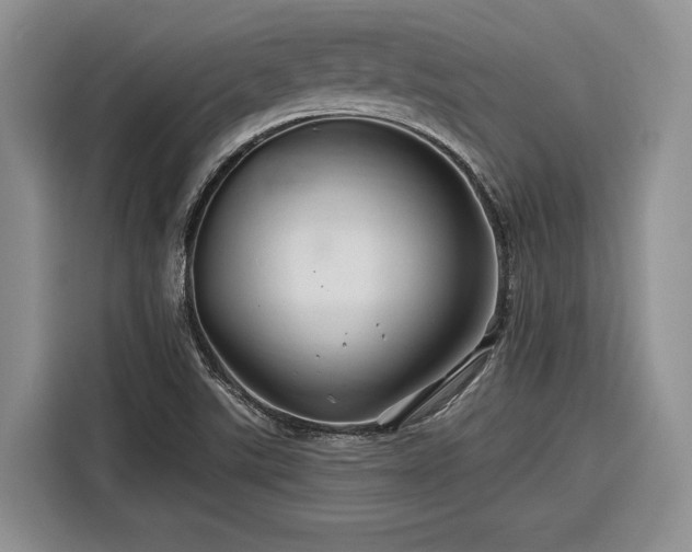 X0000116281507200912071140