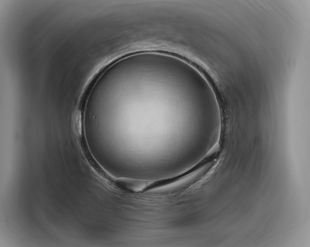 X0000116281509200912071140