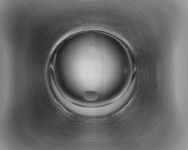 X0000116281510200912071140