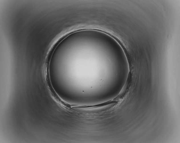 X0000116281511200912071140