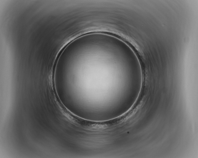 X0000116281513200912071140