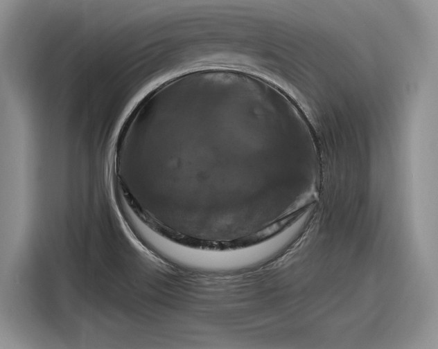 X0000116281515200912071140