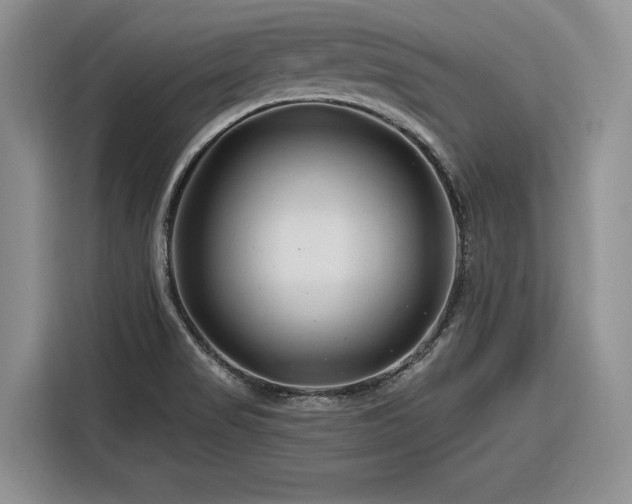 X0000116281517200912071140