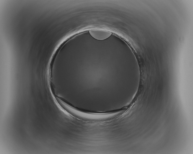 X0000116281519200912071140