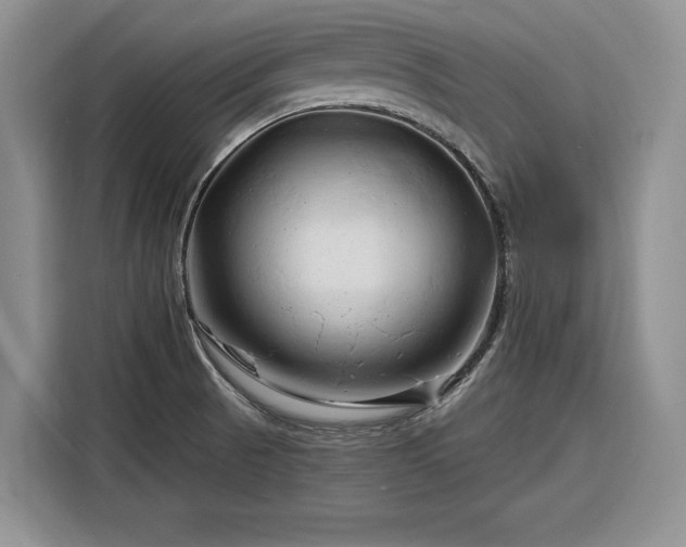 X0000116281521200912071140
