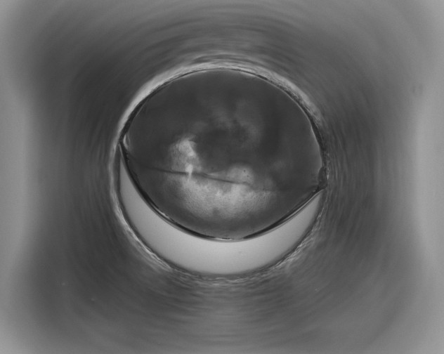 X0000116281522200912071140