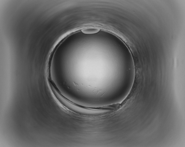 X0000116281523200912071140