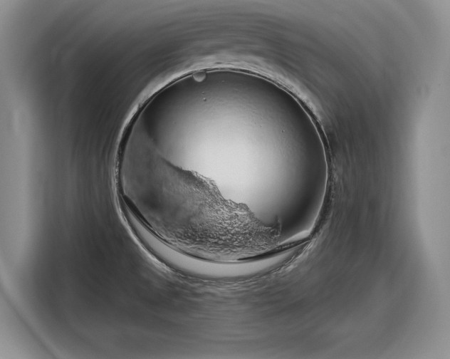 X0000116281525200912071140