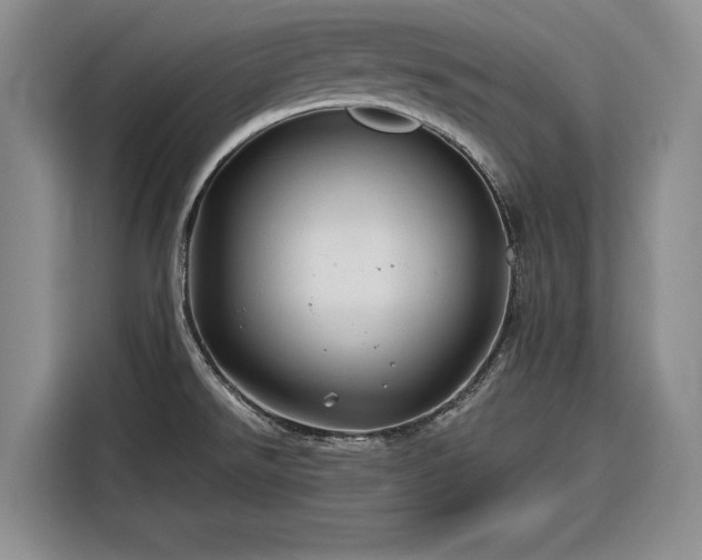 X0000116281526200912071140
