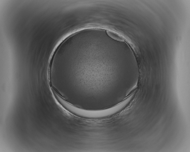 X0000116281527200912071140