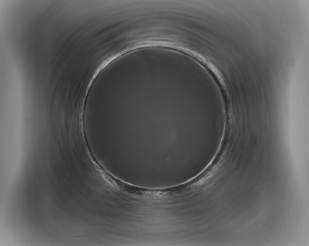 X0000116281529200912071140
