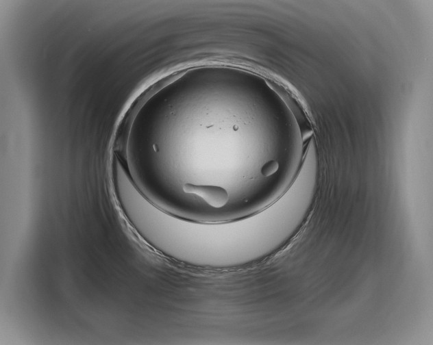 X0000116281530200912071140