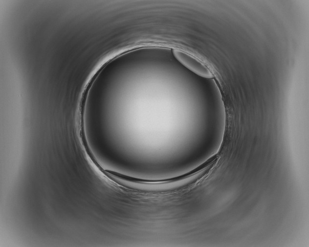 X0000116281531200912071140