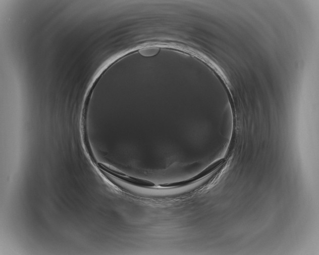 X0000116281533200912071140