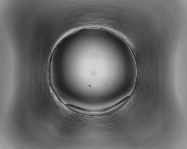 X0000116281534200912071140