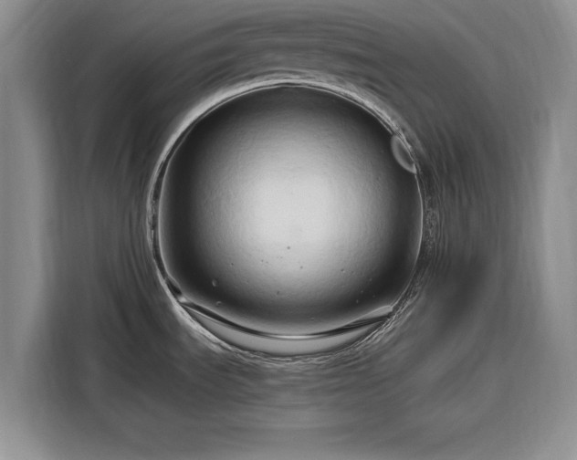 X0000116281535200912071140