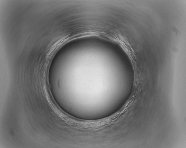 X0000116280001200912141358