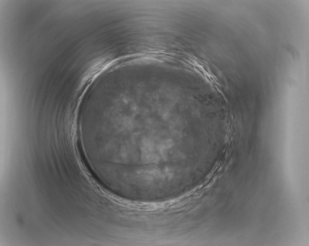 X0000116280002200912141358