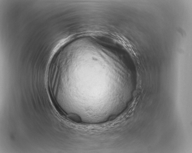 X0000116280003200912141358