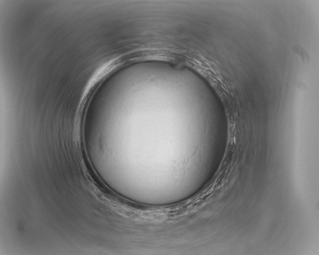 X0000116280004200912141358