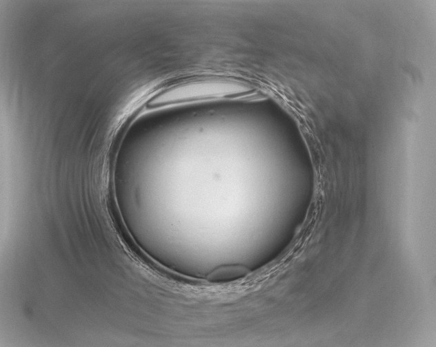 X0000116280005200912141358