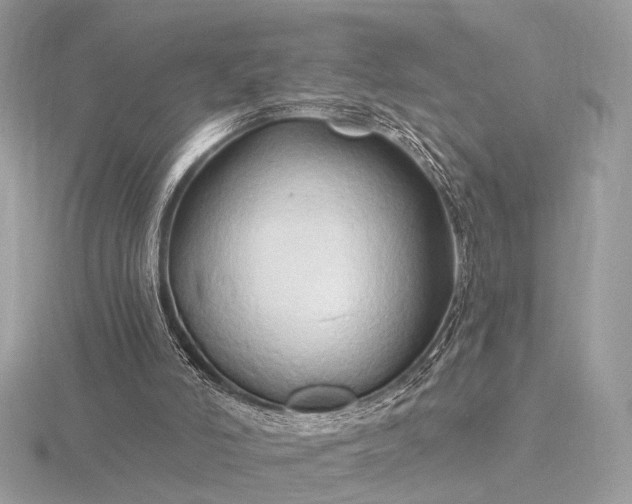 X0000116280006200912141358