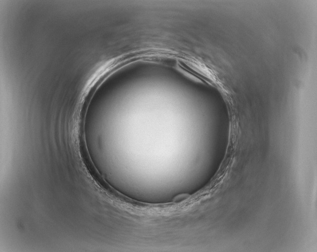 X0000116280007200912141358