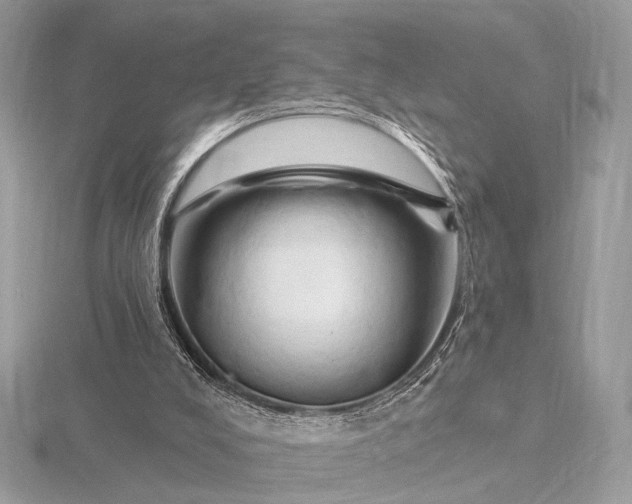 X0000116280008200912141358