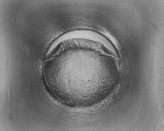 X0000116280009200912141358