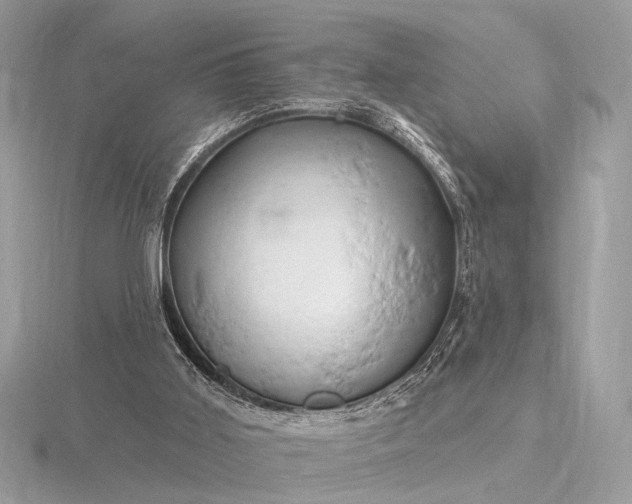 X0000116280011200912141358