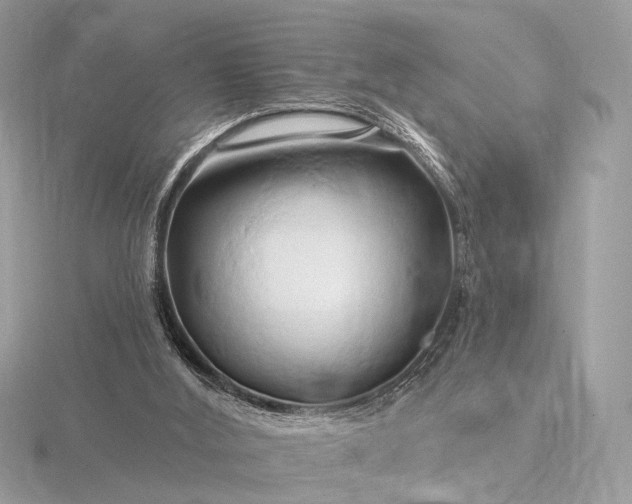 X0000116280012200912141358