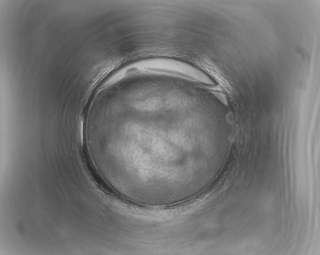 X0000116280014200912141358