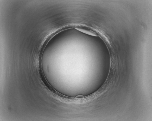 X0000116280015200912141358