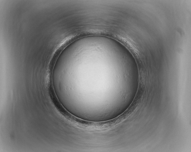 X0000116280016200912141358