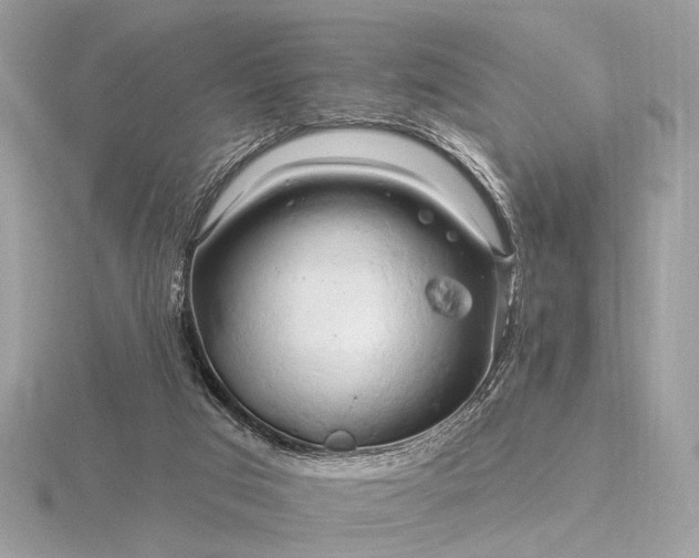 X0000116280017200912141358