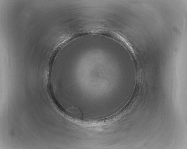 X0000116280018200912141358