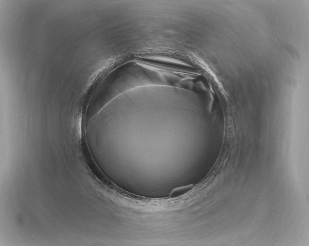 X0000116280019200912141358