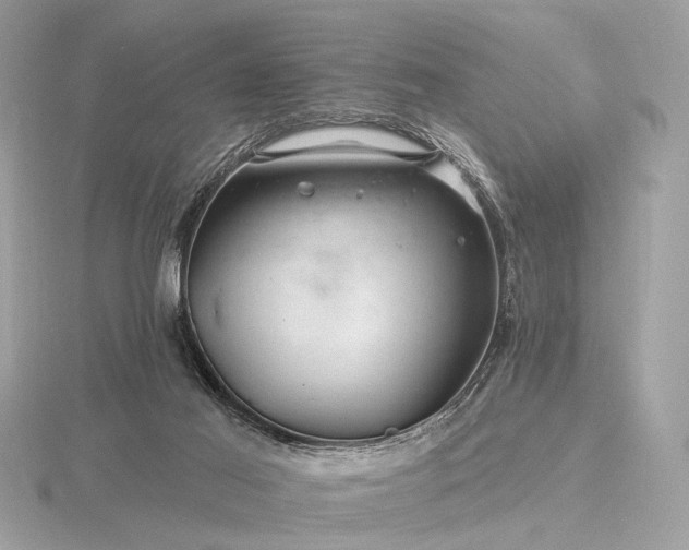 X0000116280021200912141358