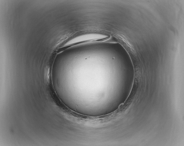 X0000116280024200912141358