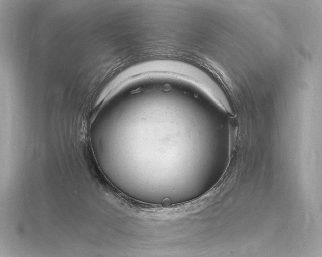 X0000116280025200912141358