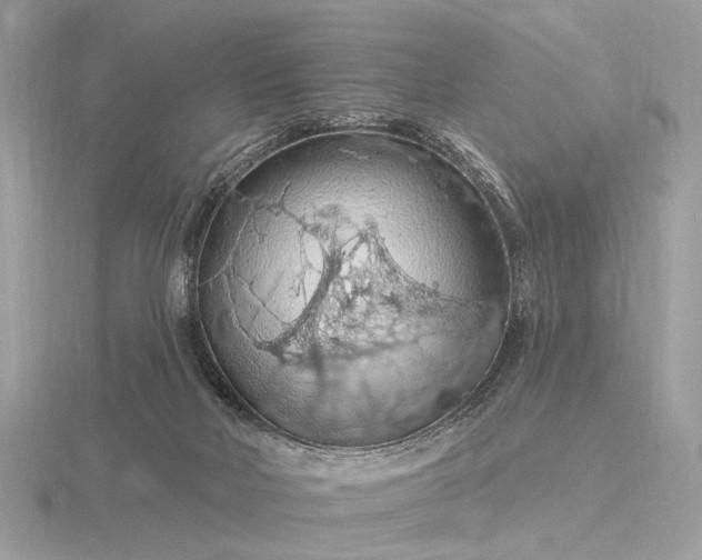 X0000116280026200912141358