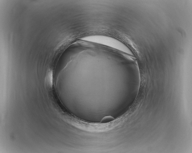 X0000116280027200912141358