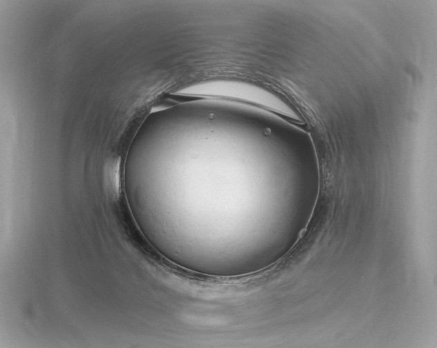 X0000116280028200912141358