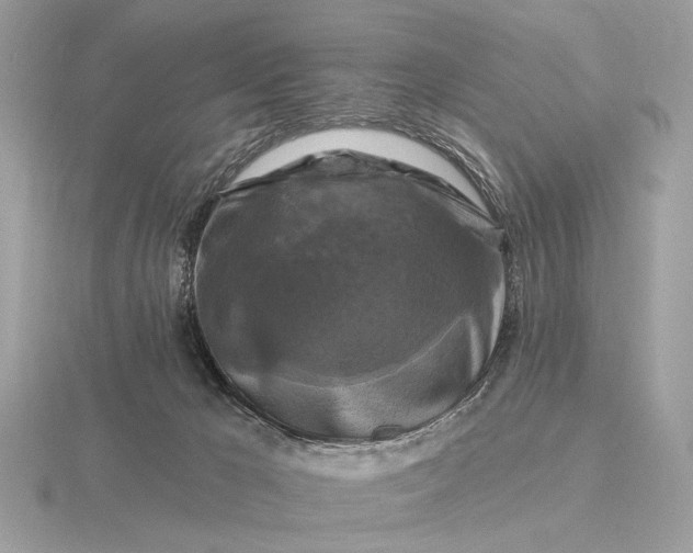 X0000116280029200912141358