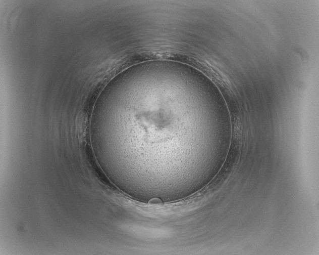 X0000116280030200912141358