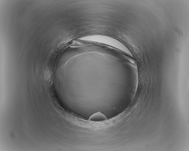 X0000116280031200912141358